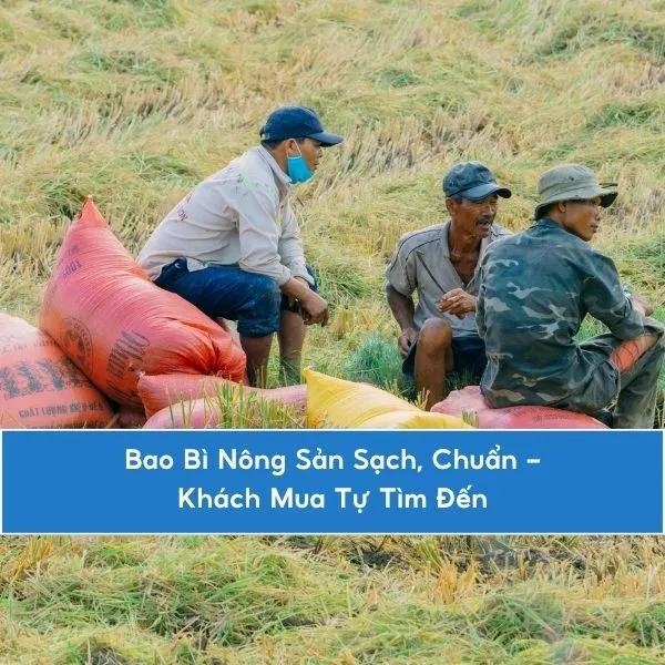Bao Bì Nông Sản Sạch, Chuẩn – Khách Mua Tự Tìm Đến
